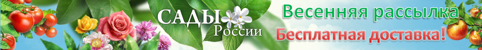 Весенняя рассылка, бесплатная доставка!!! 