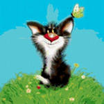 Аватара пользователя