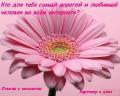 Аватара пользователя